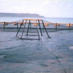 Bird net support