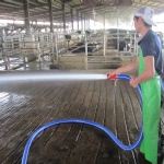 HYBRID WASHDOWN HOSE Antimicrobial